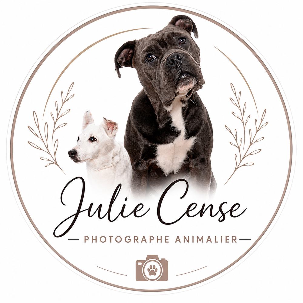 Logo Julie Cense Photographe
